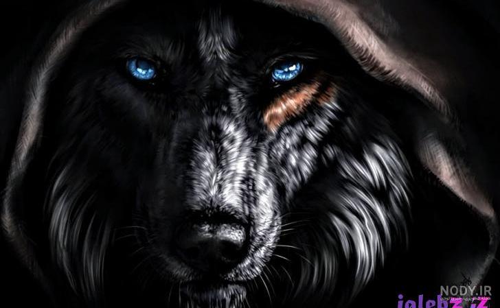 دانلود عکس گرگ سیاه سفید