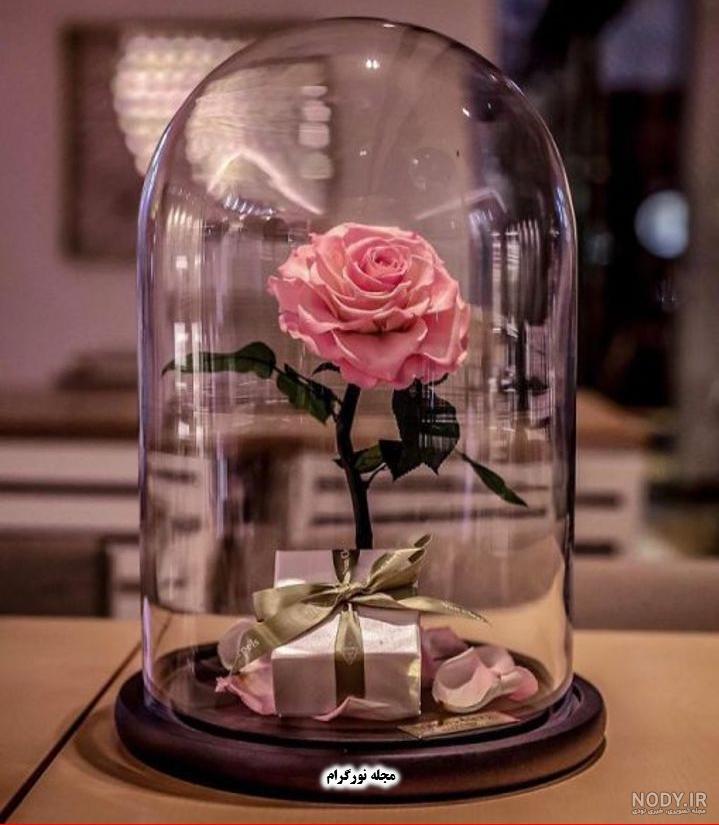 دسته گل زیبا برای دوست دسته گل زیبا برای دوست