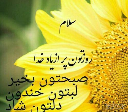 سلام صبح یکشنبه بخیر