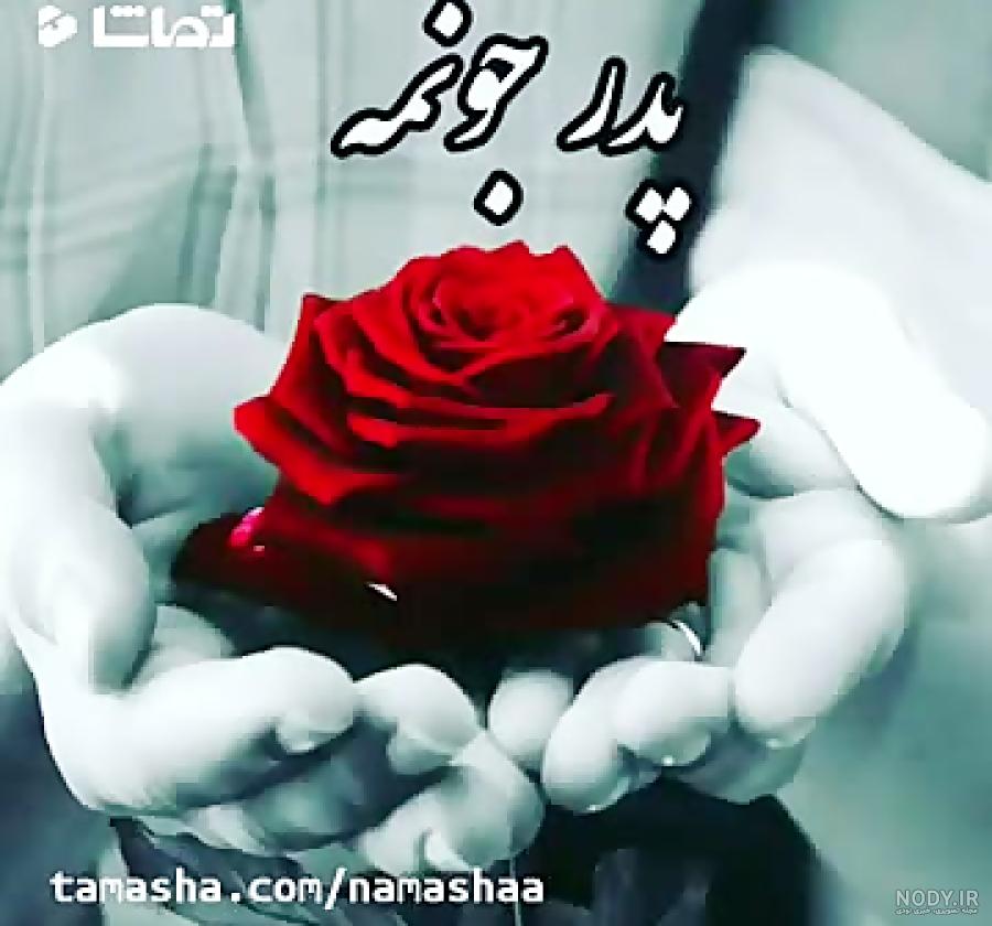 شعر بابا جونم دوست دارم شعر بابا جونم دوست دارم