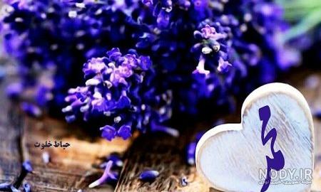 شعر عاشقانه برای اسم محمد