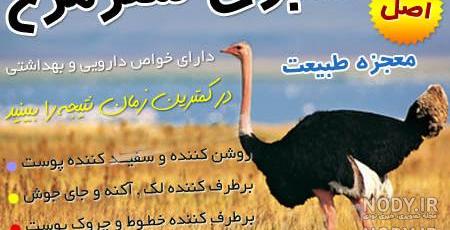 صابون شتر مرغ خوش رج نی نی سایت صابون شتر مرغ خوش رج نی نی سایت