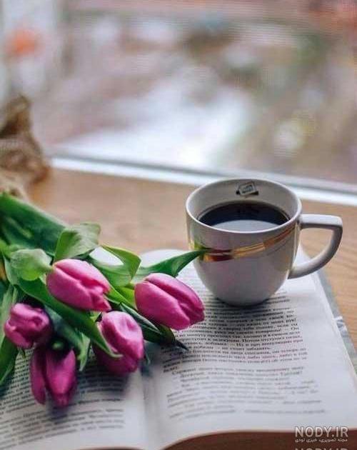 عکس استکان چایی عکس استکان چایی