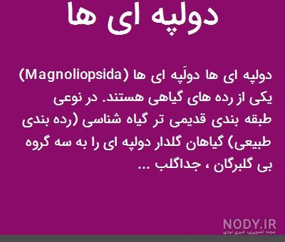 عکس برگ گیاهان دو لپه ای