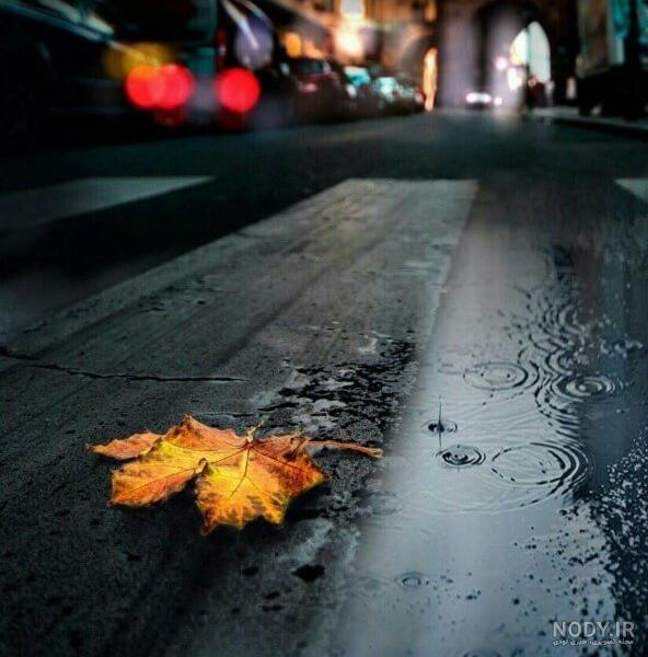 عکس دختر در جاده برای پروفایل عکس دختر در جاده برای پروفایل