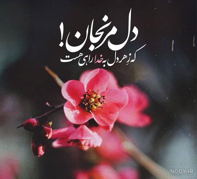 عکس زیبا عکس زیبا