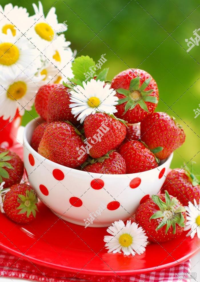 عکس شکوفه توت فرنگی عکس شکوفه توت فرنگی