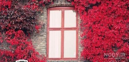 عکس شکوفه های بهاری نقاشی عکس شکوفه های بهاری نقاشی