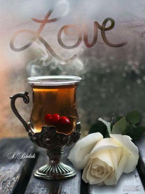 عکس فنجان چای در پاییز عکس فنجان چای در پاییز