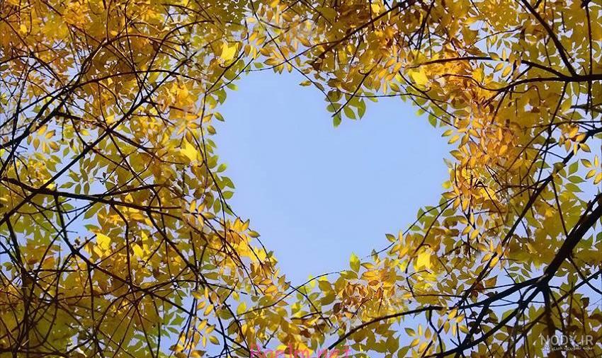 عکس منظره زیبا برای پروفایل عکس منظره زیبا برای پروفایل