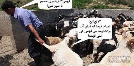 عکس نوشته تبریک عید قربان خنده دار