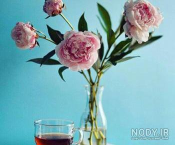 عکس چای گلپر عکس چای گلپر