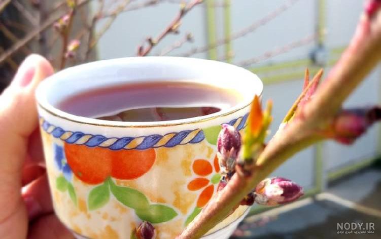 عکس چایی در خانه عکس چایی در خانه