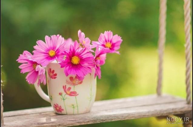 عکس گل برای پروفایل واتساپ دخترانه شیک