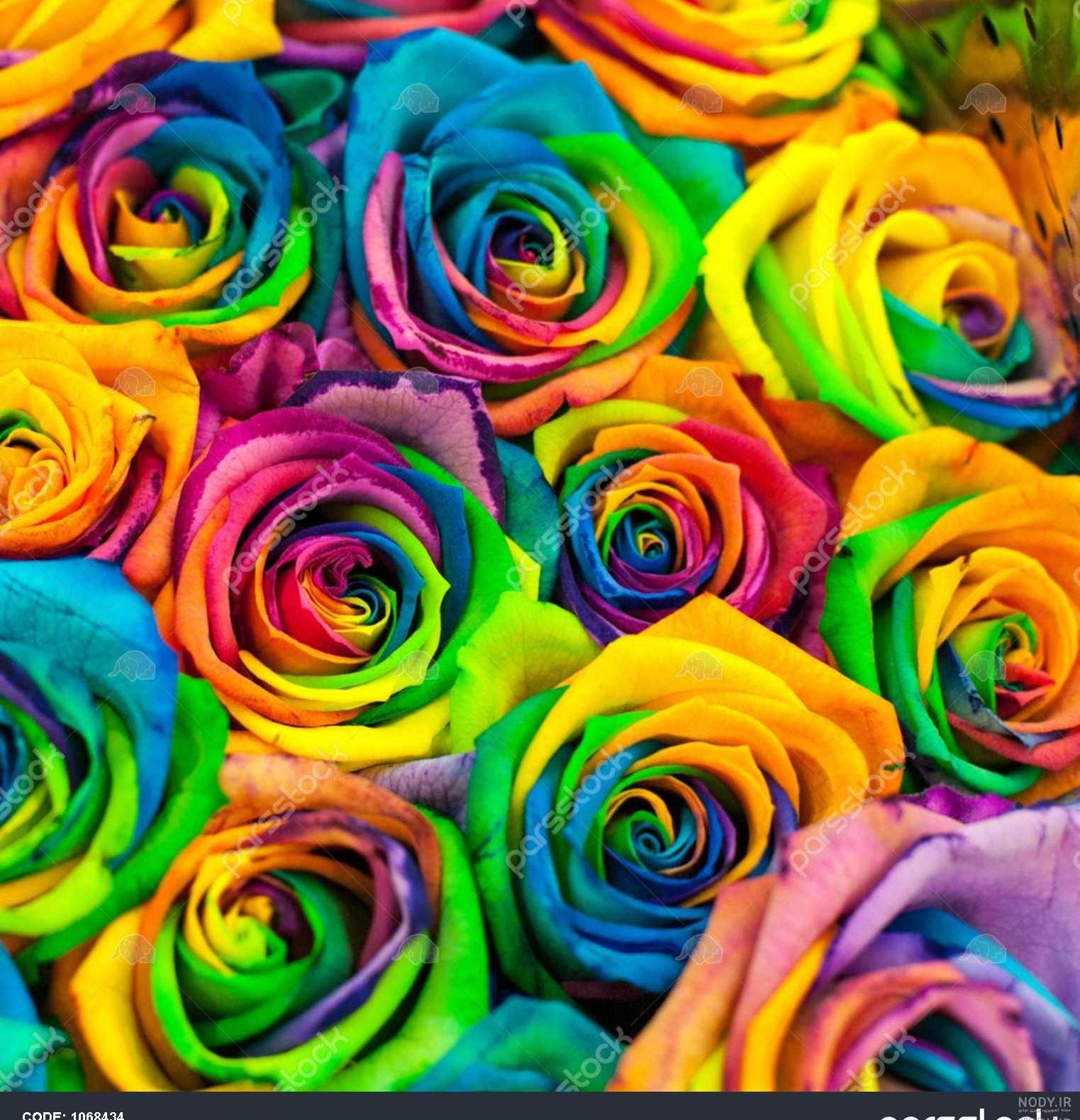 عکس گلهای رنگی زیبا