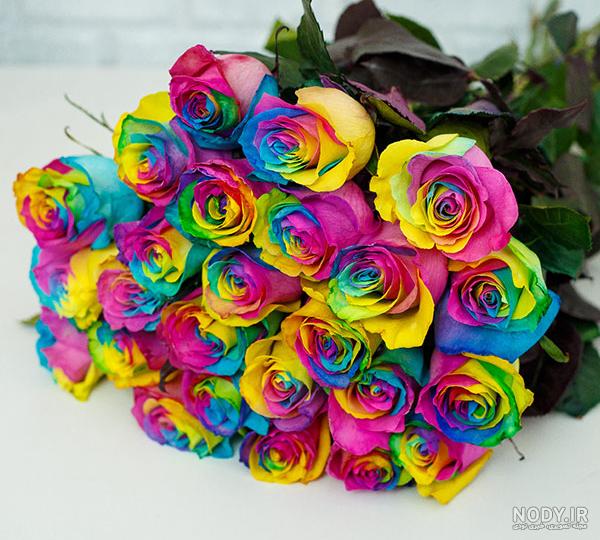 عکس گلهای زیبای رنگی
