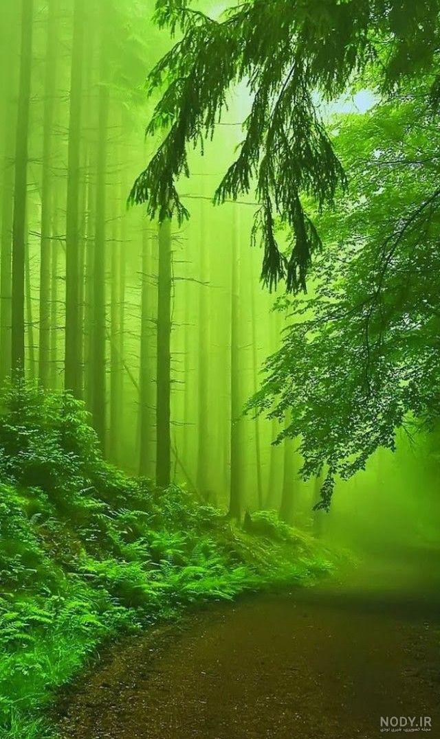 عکسهای منظرهای قشنگ عکسهای منظرهای قشنگ