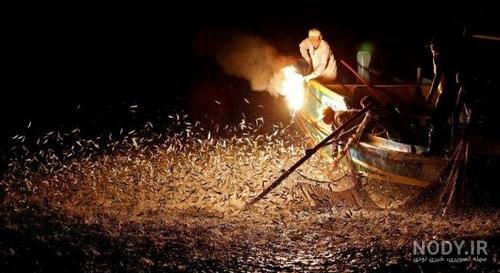 فیلم شب برای استوری فیلم شب برای استوری