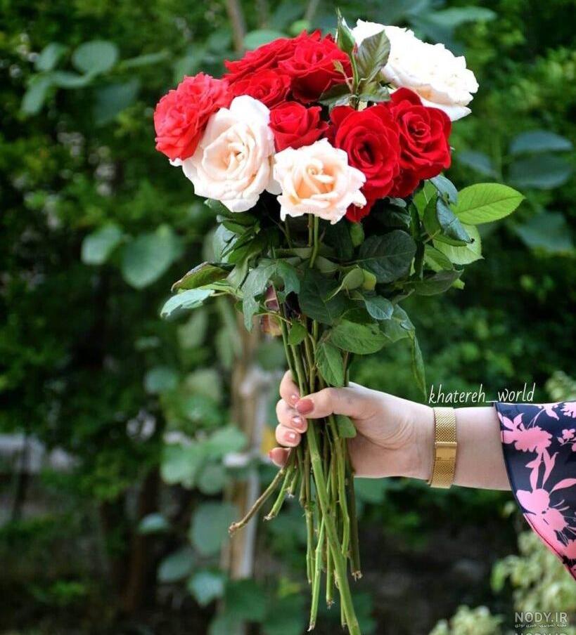 قیمت گل های زیبا قیمت گل های زیبا