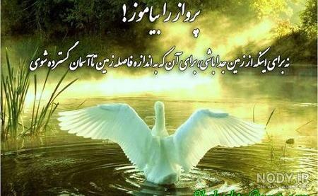 پرواز قشنگ است ولی بی غم و منت از کیست