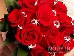 کانال گلهای زیبا کانال گلهای زیبا