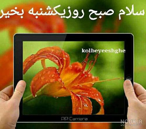 کلیپ صبح بخیر روز یکشنبه