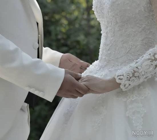 عکس شیرینی شاخه عروس