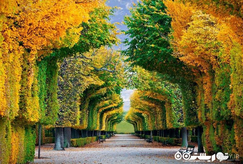 زیباترین عکسهای طبیعت زیباترین عکسهای طبیعت