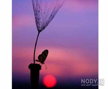شعر عاشقانه بختیار علی