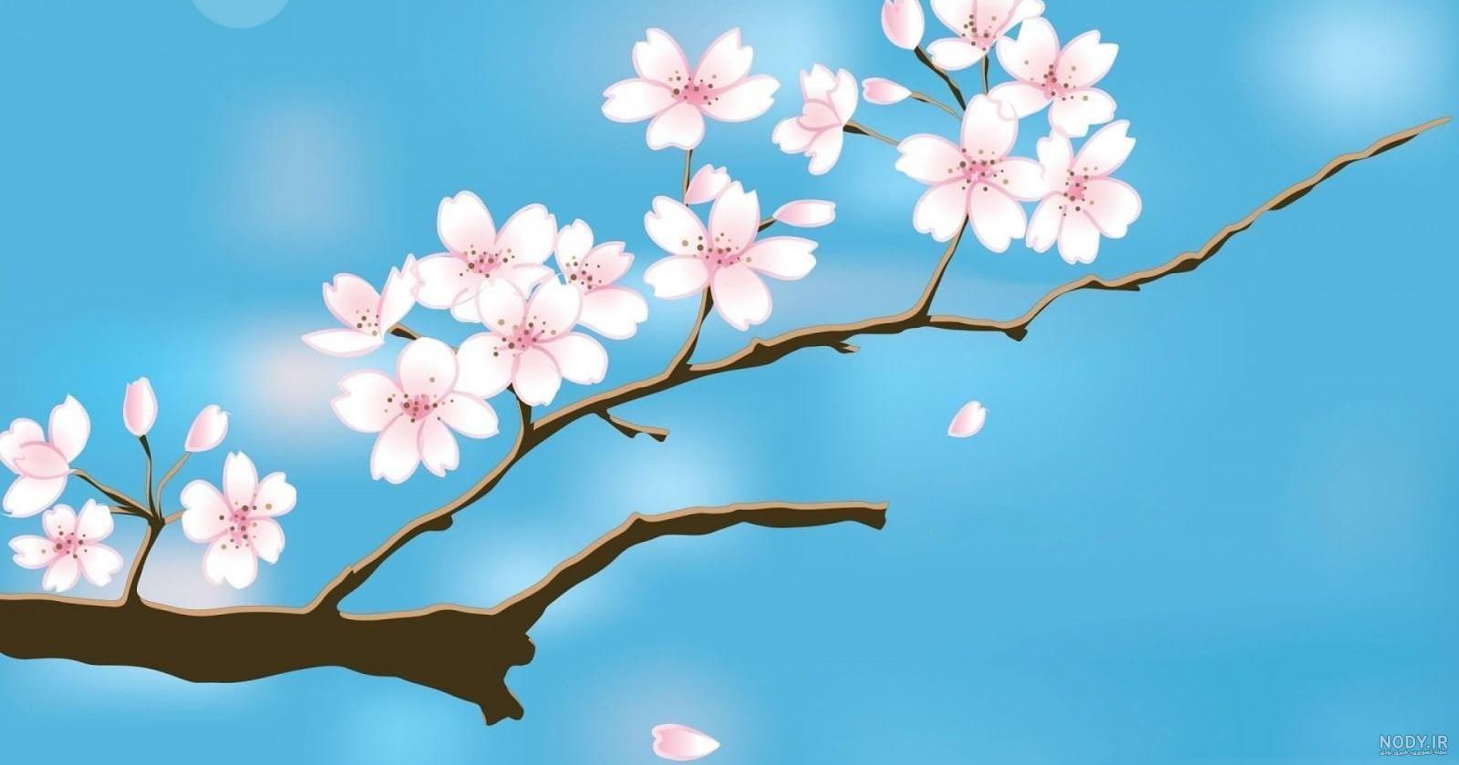 عکس شکوفه های بهاری کارتونی