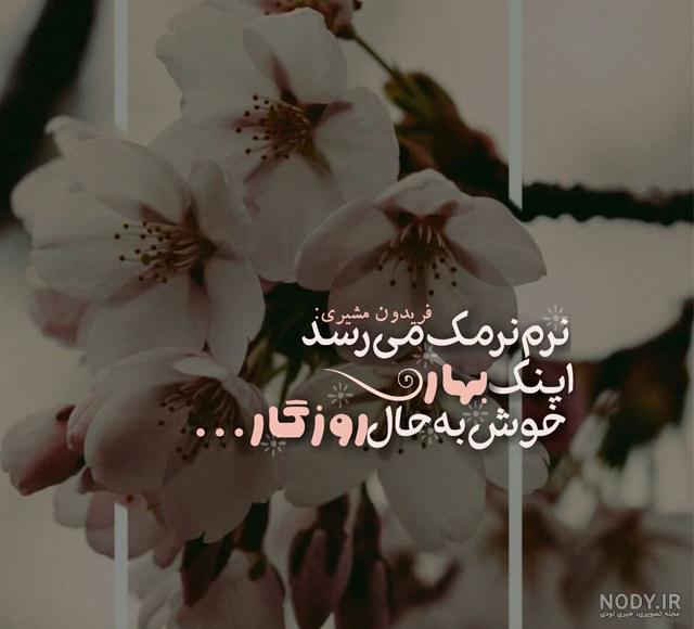 عکس عاشقانه بهاری بدون متن عکس عاشقانه بهاری بدون متن