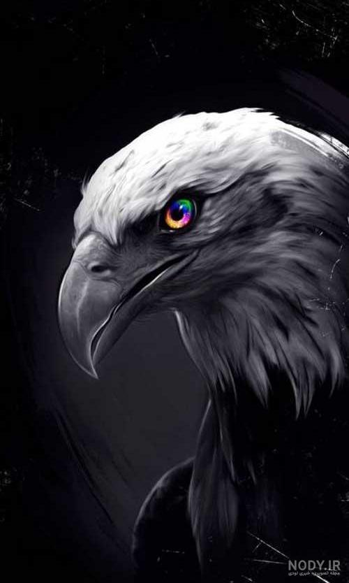عکس نقاشی عقاب ساده