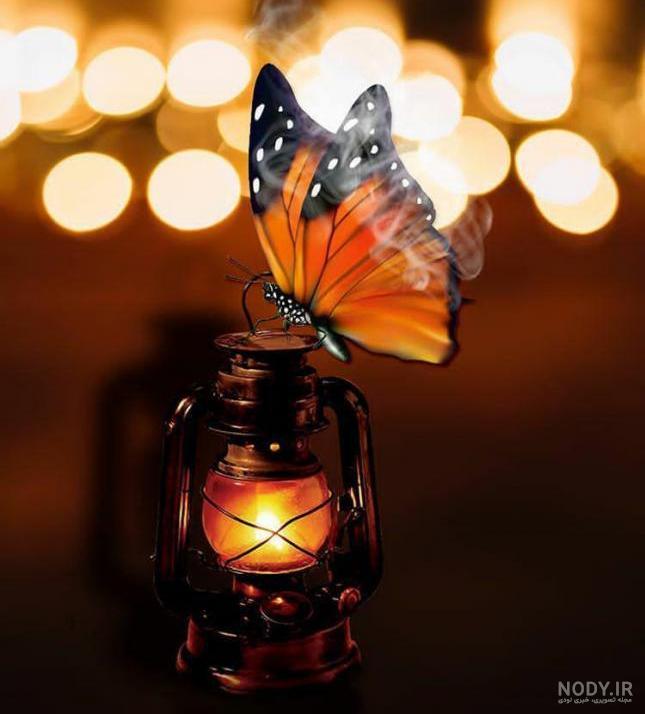 عکس پروانه و شمع