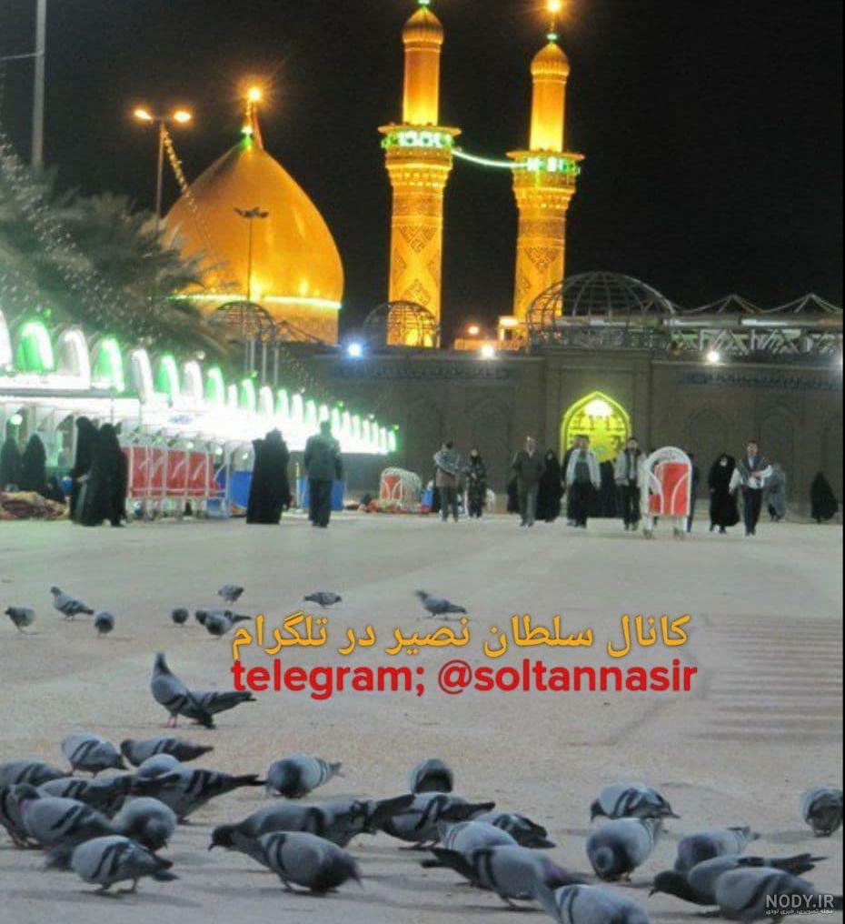عکس خفن عکس کبوتر حرم امام حسین