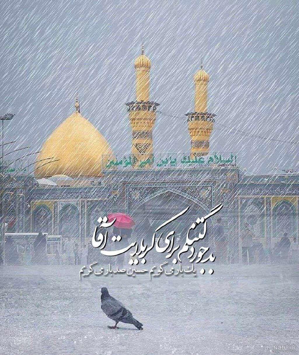 عکس خفن عکس کبوتر حرم امام حسین