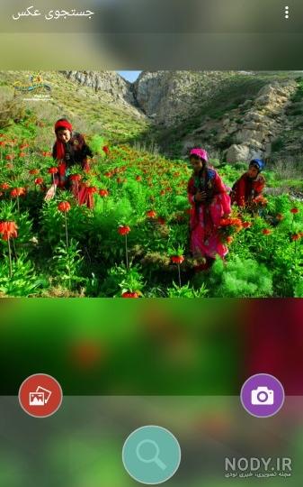 برنامه سرچ عکس در اینستاگرام