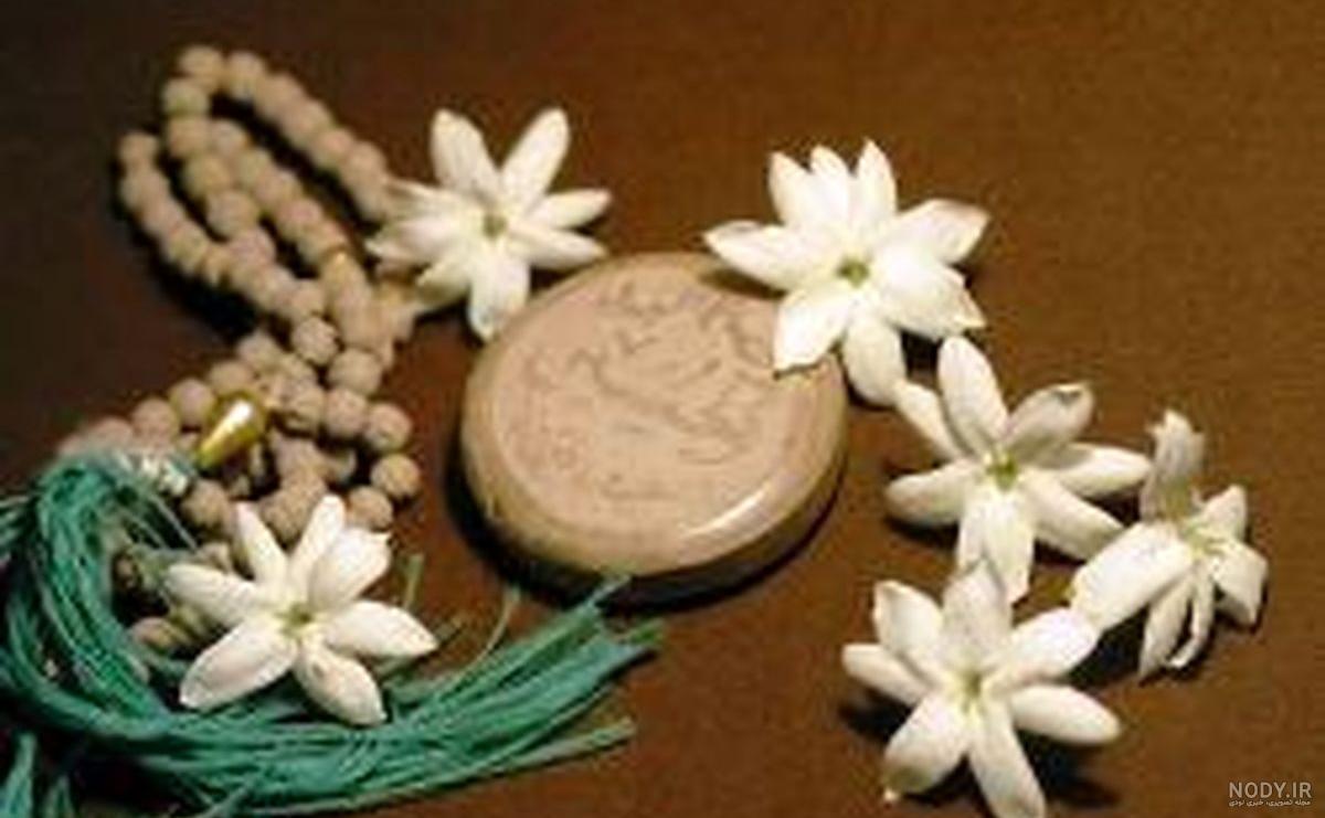 تسبیح تربت دیجی کالا تسبیح تربت دیجی کالا