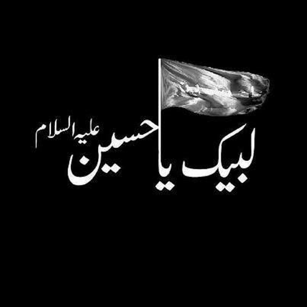 عکس پروفایل مسافر کربلا عکس پروفایل مسافر کربلا