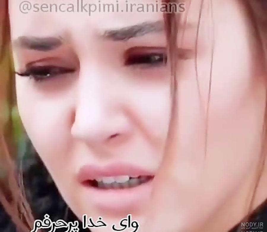 عکس گریه هانده ارچل برای پروفایل عکس گریه هانده ارچل برای پروفایل