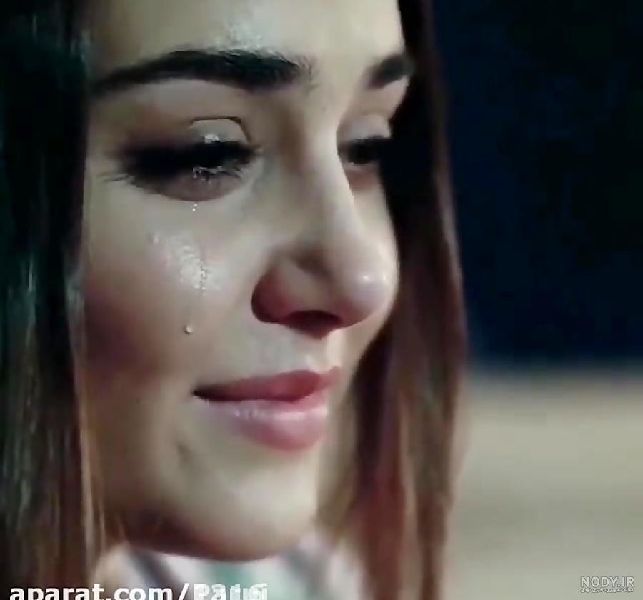 عکس گریه ی هانده ارچل عکس گریه ی هانده ارچل