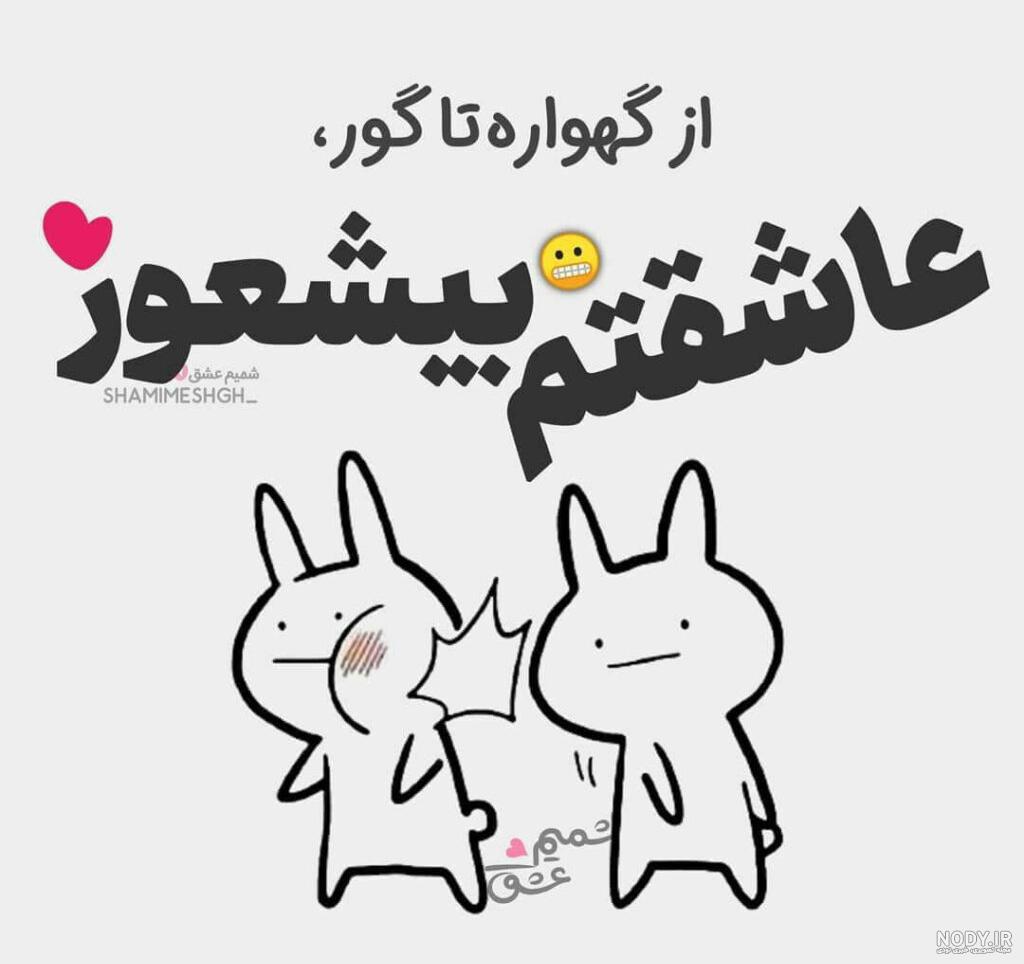 مجموعه عکس گربه مجموعه عکس گربه