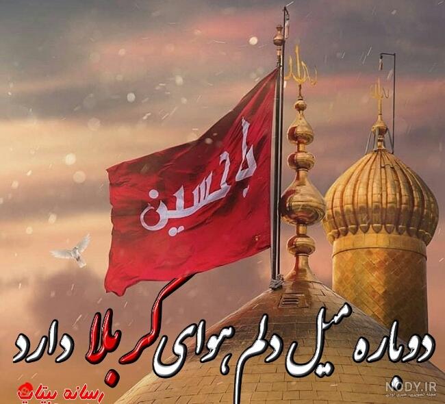 نماهنگ کرببلا کاش خونم کنار خونه شاه کرم بود
