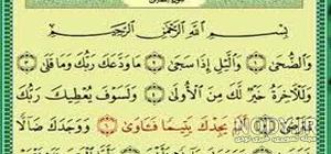 نوشین حسن زاده