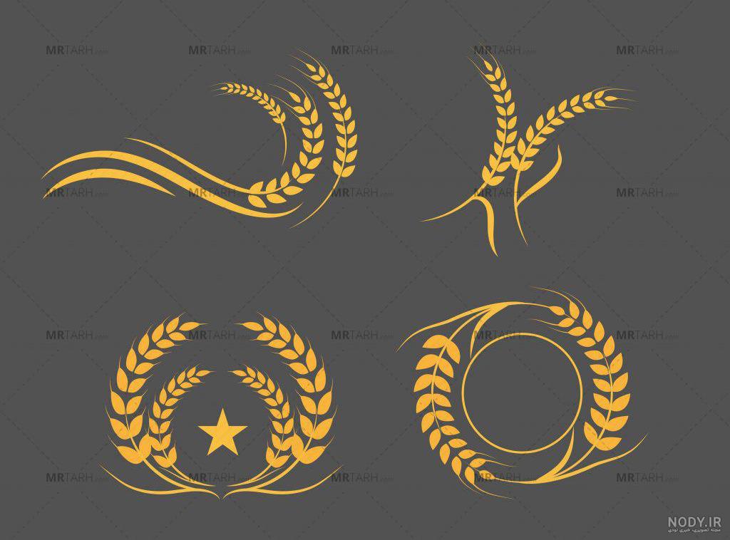 اسم گندم به انگلیسی اسم گندم به انگلیسی