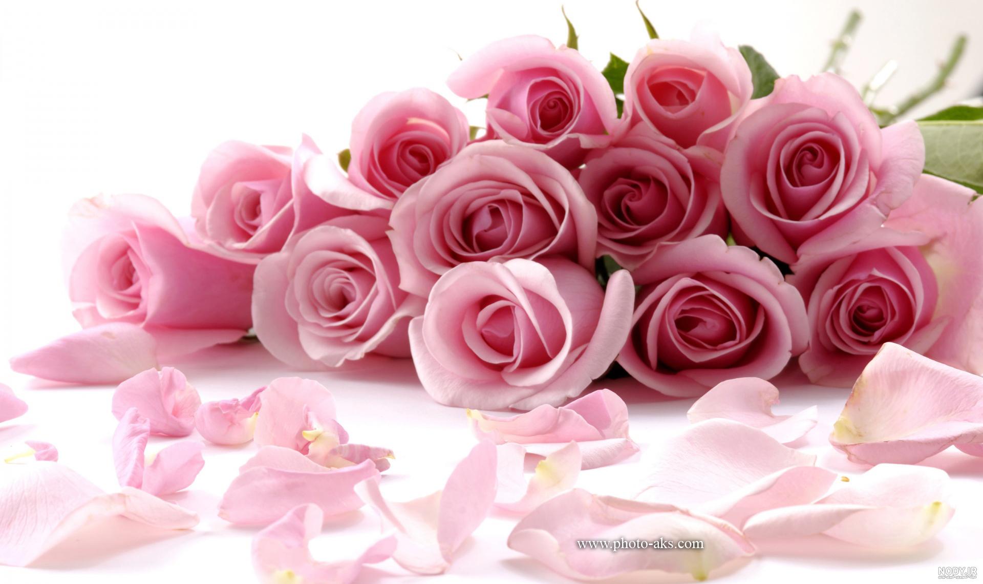 دسته گل خواستگاری رز دسته گل خواستگاری رز