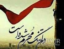 زیباترین عکس کربلا
