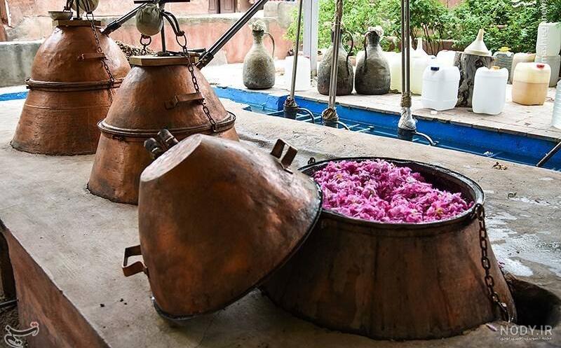 عکس از مراسم گلاب گیری عکس از مراسم گلاب گیری