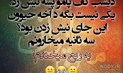 عکس های خنده دار حیوانات