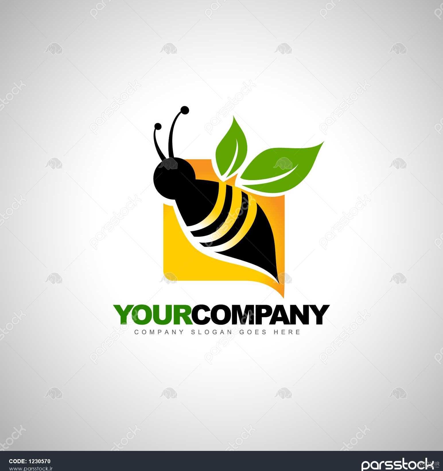 عکس کندوی عسل روی درخت عکس کندوی عسل روی درخت