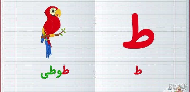 آموزش حرف ط کلاس اول